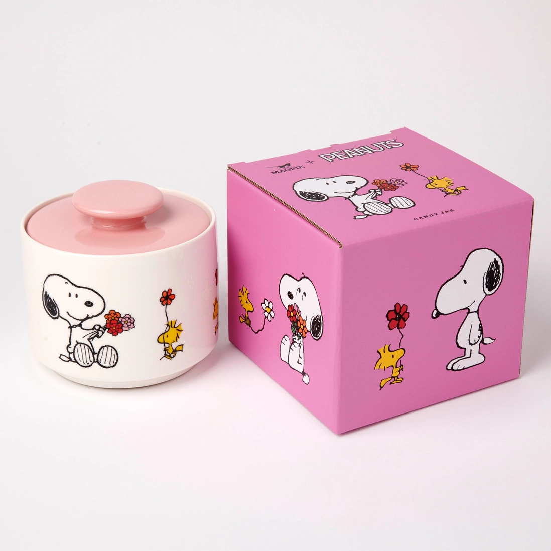 Tarro Snoopy usado como organizador de tocador