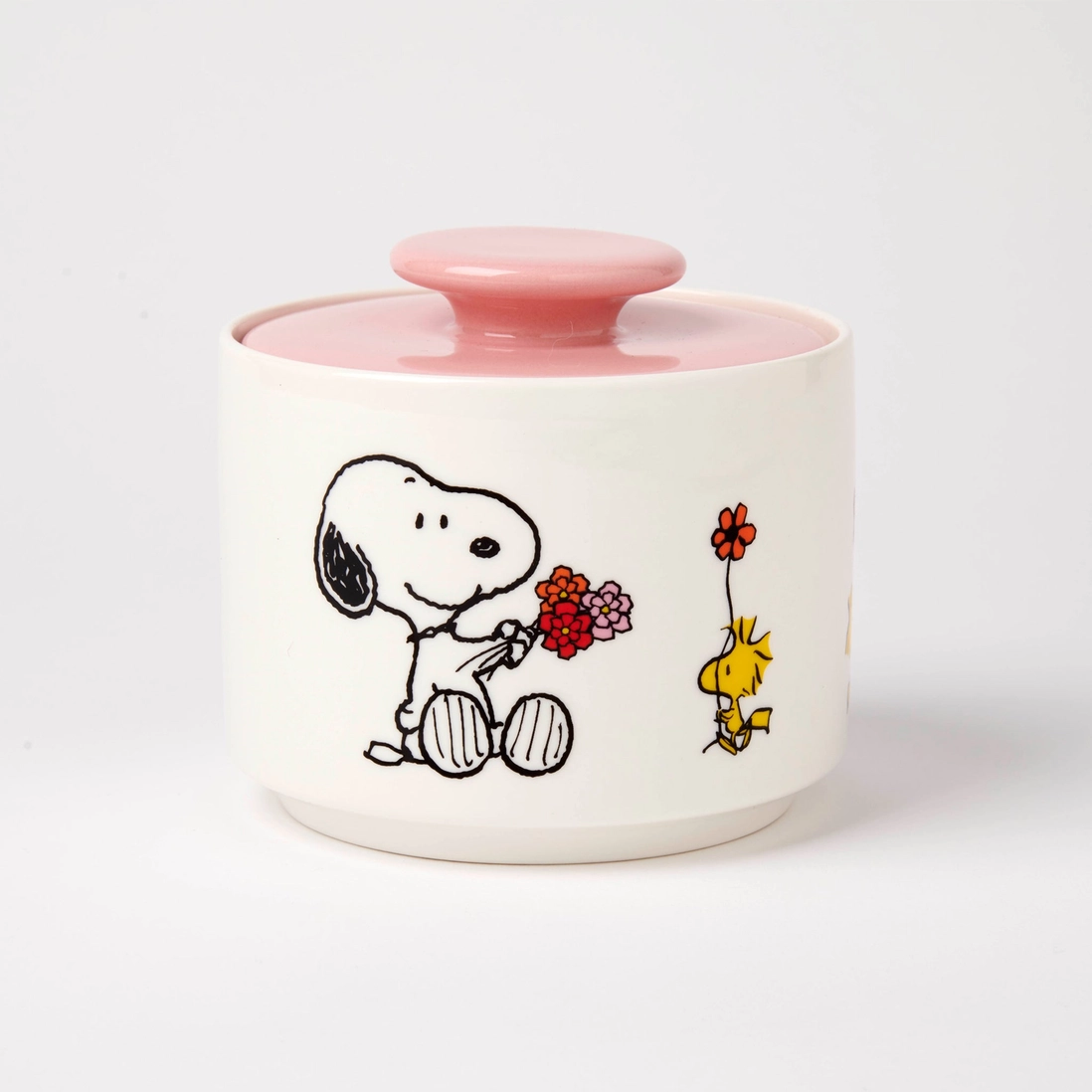Tarro de Snoopy y Woodstock sobre mesa de cocina